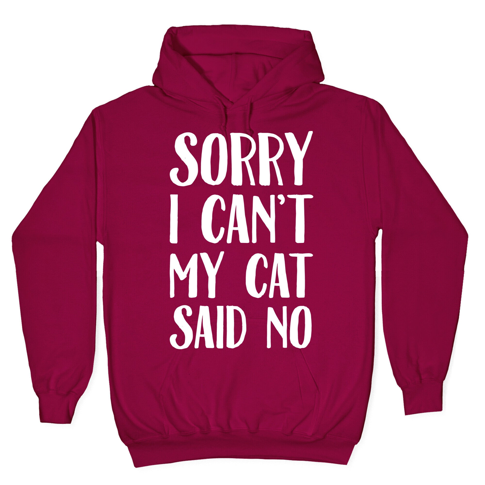 Sorry I Can't My Cat Said No Hoodie